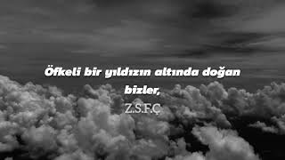 Stingfragile trke eviri