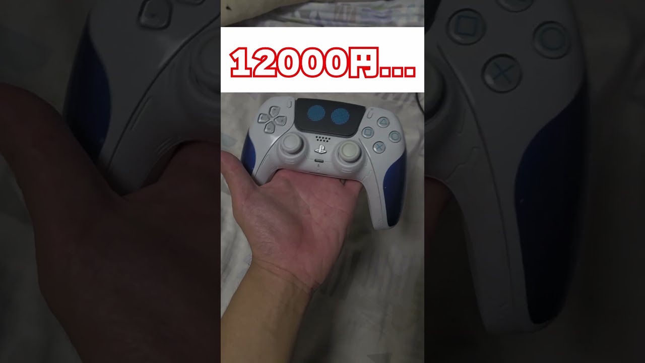 【PS2】PS2時代に戻りたい理由がコレ。コントローラー高すぎだろww #レトロゲーム #ゲーム #PS5