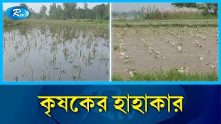 Qadimgi ayollarning moynali paltolari