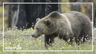 IDFG urges you to be “Bear Aware” for bear season