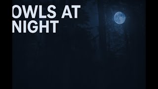 Great Horned Owl Hooting at Night