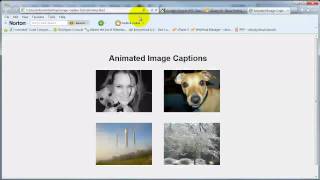 jQuery Animated Image Captions Profile