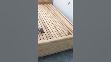 Giao Lắp Giường Gỗ Sồi Và Tủ Áo Màu Vàng Phối Trắng | Nội Thất Viva