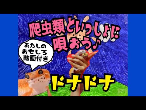 【替え歌第2弾】爬虫類と一緒に唄おう♪楽しく唄えるドナドナ！？ハイリハイリ☆〜自作ソングを唄う滝沢カレン風〜