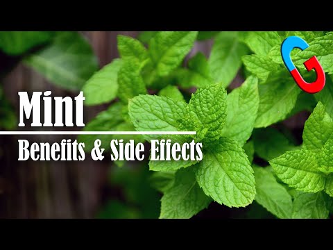 🤓 Is Mint