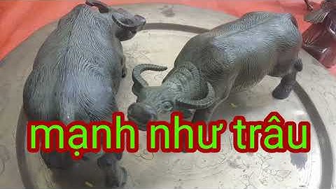 Đồ vật phong thủy - cặp trâu đồng chiêu tài - cặp trâu cầu phúc sức khỏe - chơi đồ cổ - phong thủy