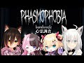【Phasmophobia】bamboozle再集合！！【ぶいすぽ/胡桃のあ】