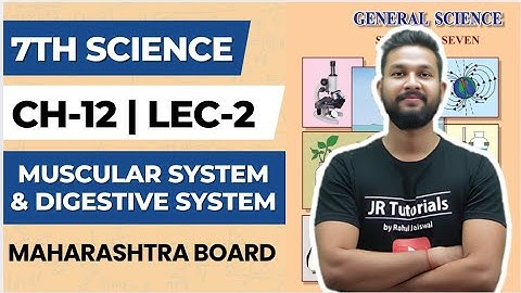 7th Science | Chapter 12 | Muscular System & Digestive System | Lecture 2 | Maharashtra Board |