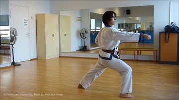 Pyung Ahn Sam Dan hyung