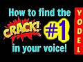 HOW TO YODEL / FIND THE CRACK IN YOUR VOICE (PT. 1) Beth Williams Music / Indie 2021