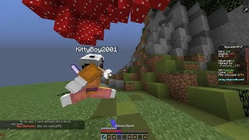 KittyBoy2001 hacking, kill aura