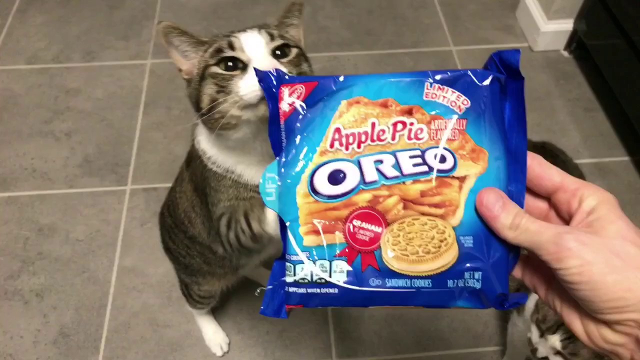 Will My Cats Eat It? Episode 1 Apple Pie flavored Oreos ...