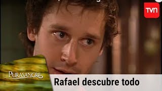 Rafael descubre todo | Puransangre - T1E61