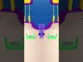 (Bridge race game) level 19 complete ✅✅#viralshorts #viralvideo #shortsfeed #trending #youtubeshorts
