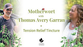 Motherwort with Thomas Avery Garran + Tension Relief Tincture
