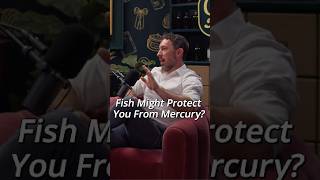 Could Fish ACTUALLY be Protecting You From Heavy Metals?
