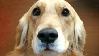 Capture 20120730 3
