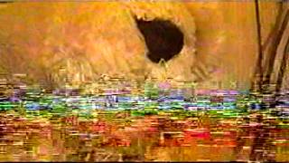 Vts061.Vob 2009 Dvd 03 Of Vhs 08B - 10A Sony D Dvd-Rw Pc Vlc Smile 120Min 4.7 Gb Accucore