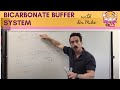 The Role of Buffers in Maintaining Blood pH Balance