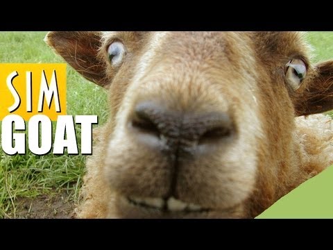 Goat Simulator