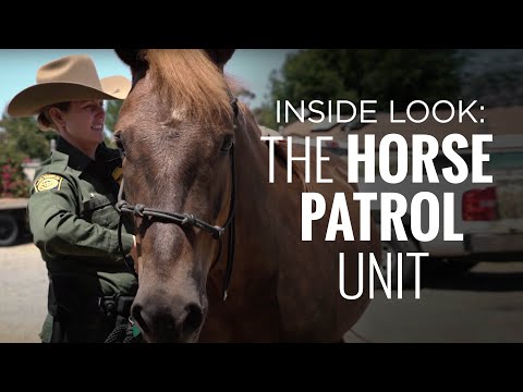 An Inside Look at the Horse Patrol Unit | The Daily Signal