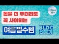 Silverstarlab-라이브 신일 BLDC 선풍기