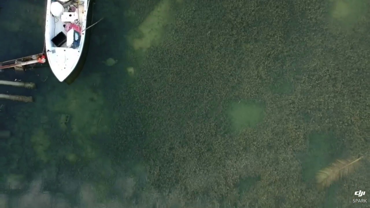 Key West House boat - YouTube