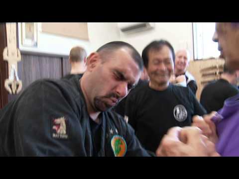 Ninja Grandmaster Hatsumi