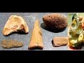 Fossil Hunting North Norfolk UK / Fossil Bone &amp; Worked Flint
