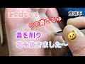 誕生日なのでやってやりましたよ〜