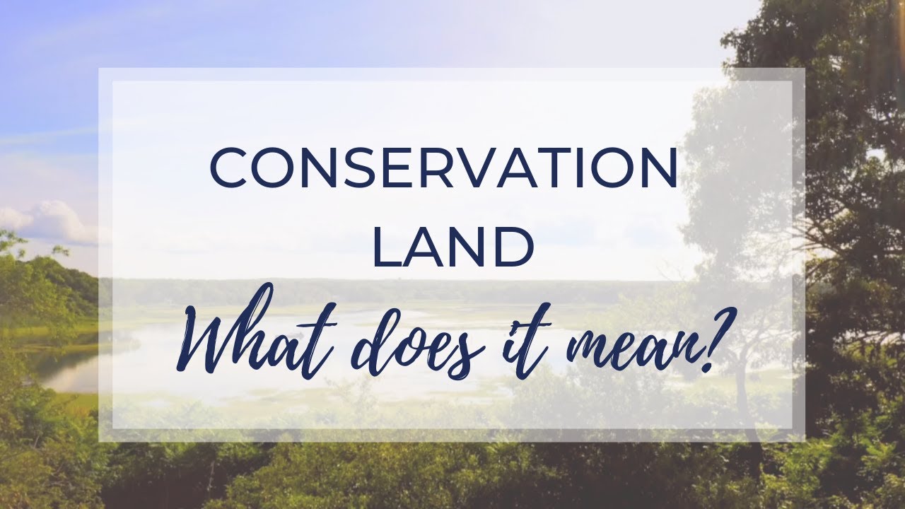 About Conservation Land on Cape Cod What Does It Mean? YouTube