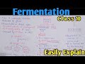 Fermentation | Alcoholic And Lactic Acid Fermentation | Class 10 Biology