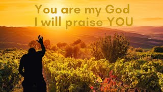 Psalm 118 | Part 2 | Blessed be he, that comes in the name of the Lord