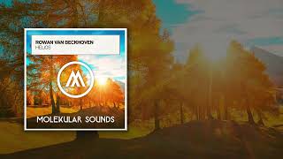 Rowan van Beckhoven - Helios (Extended Mix) [Molekular Sounds]