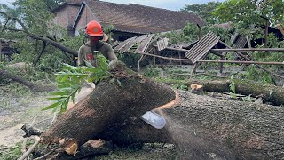 Download Lagu Cutdown 3 Burned Trees! The Ruined Hut Was Crushed! MP3