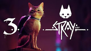 Stray №3 (Кошачье прохождение): Трущобы, Тупик, и Канализация