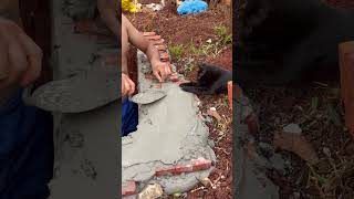 Cat Keeps Placing Her Paw on Wet Concrete While Man Works