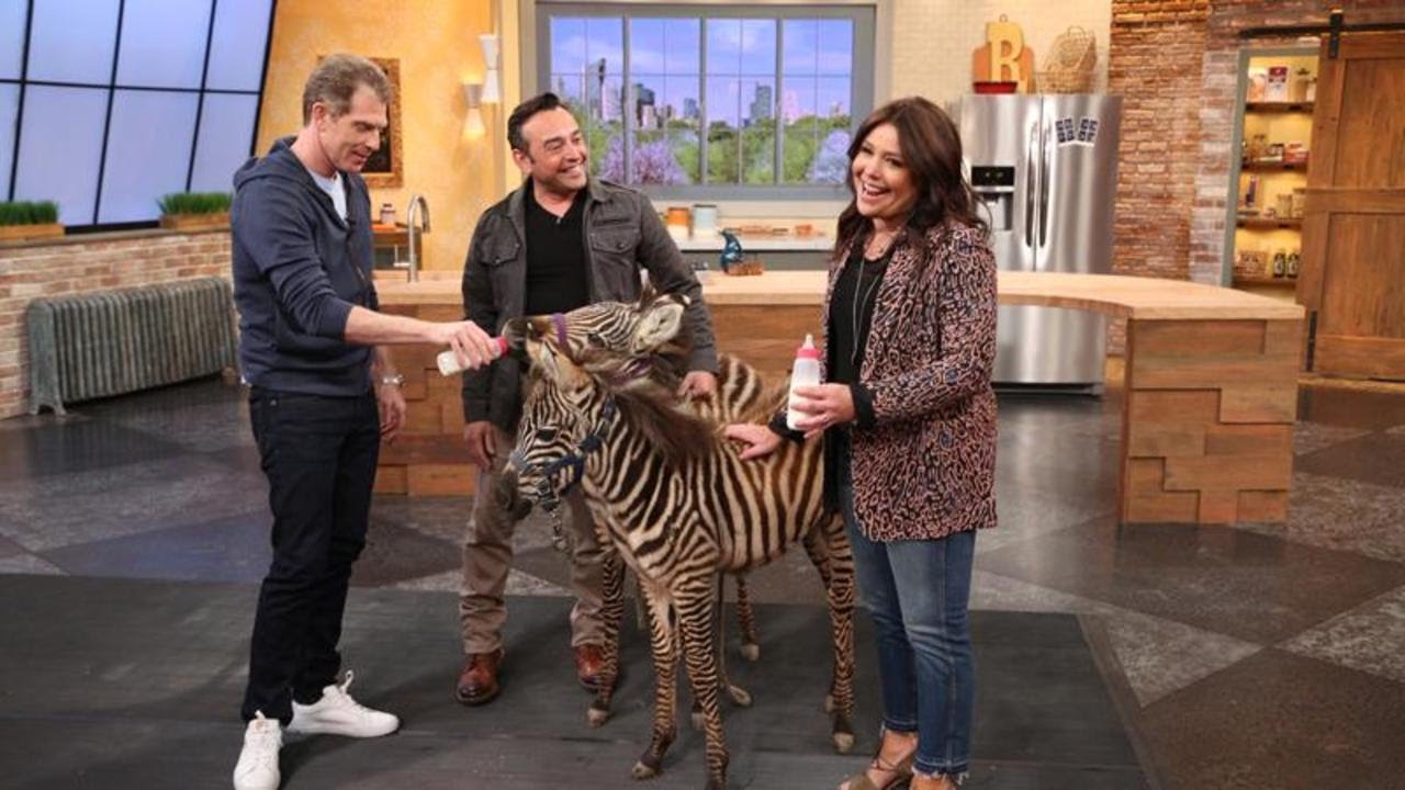 You Have to Hear This Wild Story Rachael Ray Has About Her Honeymoon in Africa + Zebras! | Rachael Ray Show