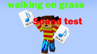 Sound Test: Walking on Grass (Minecraft Animation)