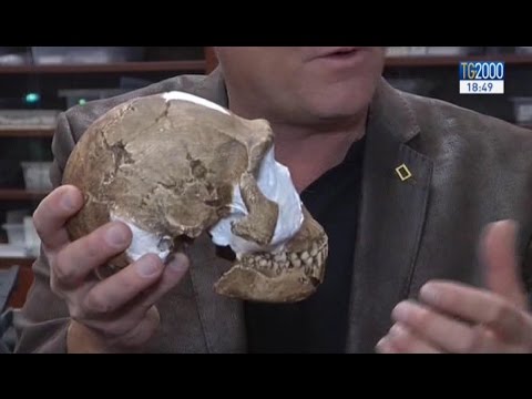 Video: Homo Naledi - Collegamento Misterioso Nell'evoluzione Umana - Visualizzazione Alternativa