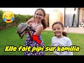 Vlog  un nouvel animal  site massilya  papa