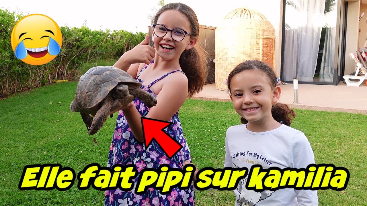 VLOG - Un NOUVEL ANIMAL - Site MASSILYA & PAPA