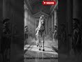 The Craziest King in History? His Horse Was a Minister! #facts#HistoryShorts#DidYouKnow#Incitatus