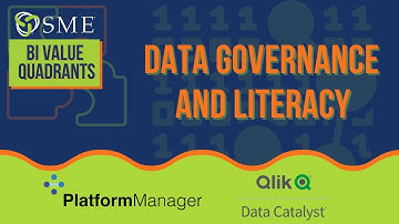 SME BI Value Quadrants: Data Governance and Data Literacy