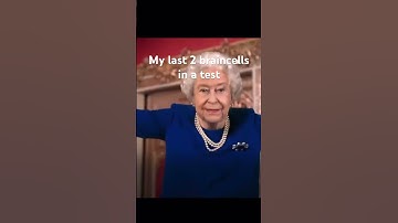 My last 2 Braincells on a test