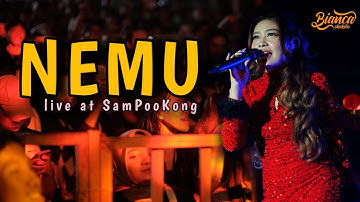 Bianca Shakila ~ NEMU (Live at SamPooKong)