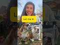 Let me in #shorts #reel #trending #funny #couple #foryou #love #food #car