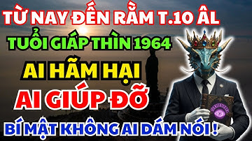 Ai Hãm Hại, Ai Giúp Đỡ Người Tuổi Giáp Thìn 1964 Từ Nay đến rằm Tháng 10 Âm lịch 2025?