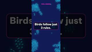 Birds Follow Just 3 Rules (Boids Murmuration Simulation)