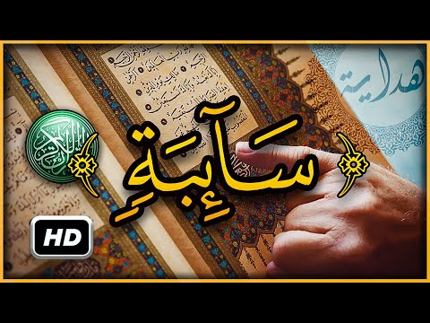 هل تعلم ما معنى سائبة في ما جعل الله من بحيرة ولا سائبة تفسير اغرب كلمات القران الكريم 